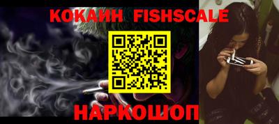 индика Пенза